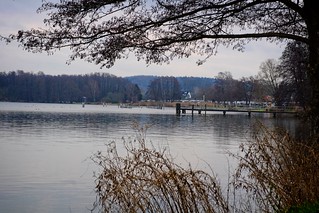 At the 'Großer Plöner See' lake | January 27, 2021 | Dersau - Plön district - Schleswig-Holstein - Germany | by torstenbehrens