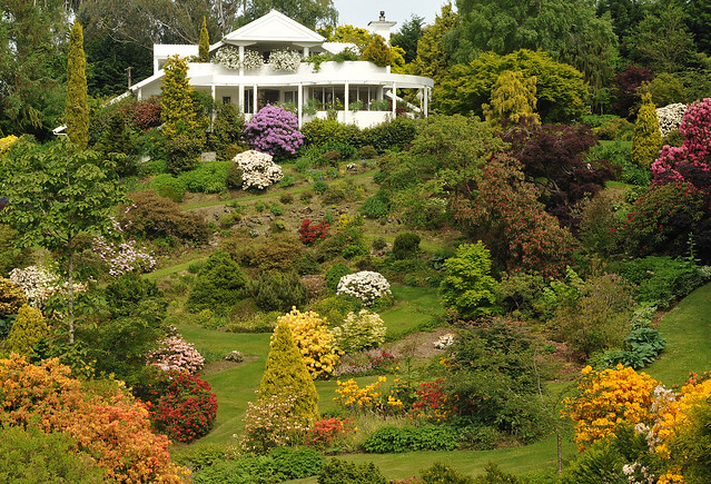 Maple Glen garden