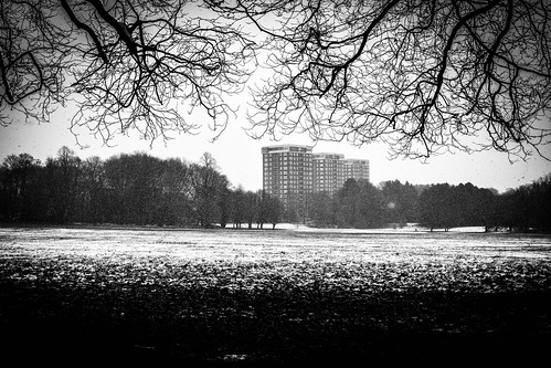winter snow snowy cold park parklife liverpool merseyside mono bw blackandwhite blackwhite landscape