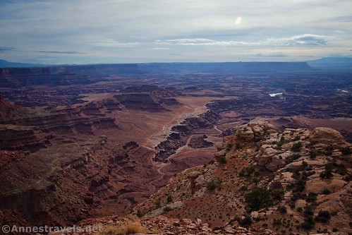 Lower Lathrop Canyon from Lathrop Point Overlook, Canyonlands National Park, Utah