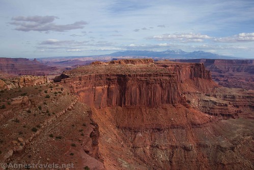 Looking left, toward the La Sal Mountains, from the Lathrop Point Overlook, Canyonlands National Park, Utah