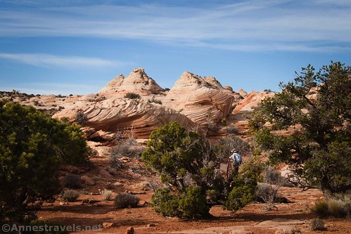Looking back at some of the rock formations along the Lathrop Trail, Canyonlands National Park, Utah