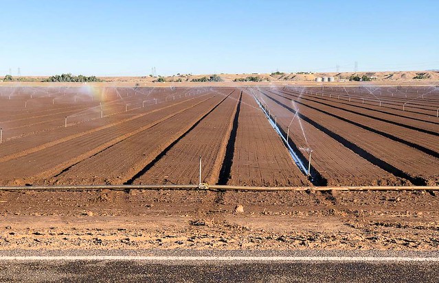 Irrigation rainbow... 20191126_1456