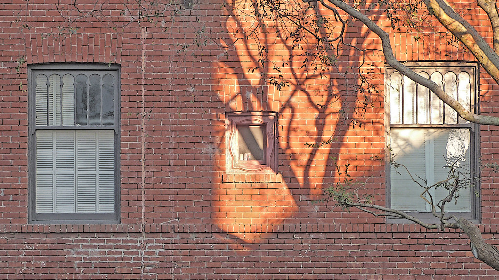 A19408 / walnut street shadows