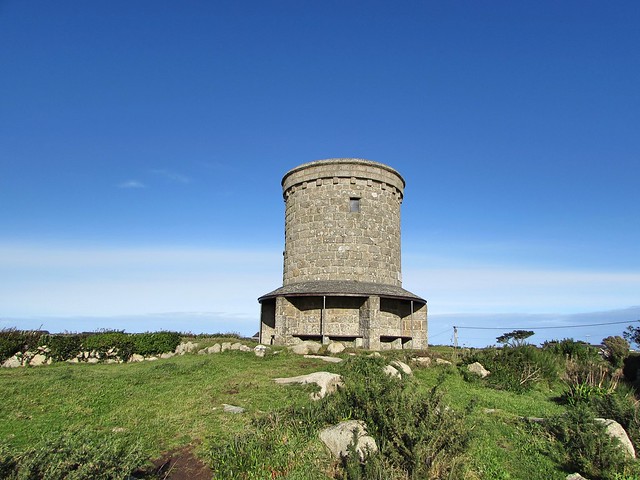 The Buzza Tower