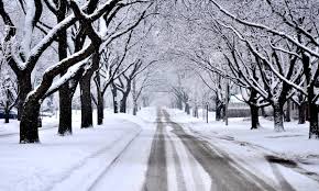Winter Snow Removal Guidelines & Responsibilities