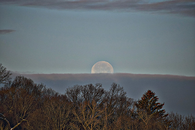 Wolf moon disappearing behind morning cloud
