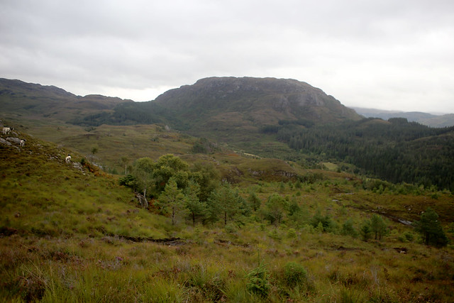 Moorland between Achintraid and Ardaneskan