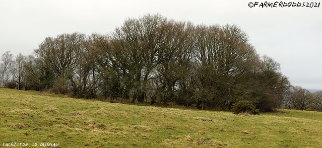 SACRISTON HILL: Site of an ancient beacon or burial mound.