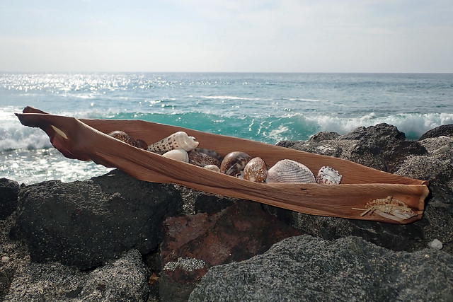 shell canoe