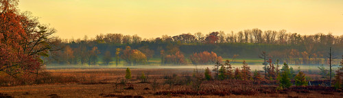 goldenhour fallcolours landscape panorama morningmist grasslake waterlooregion ontario canada