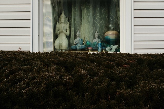 artifacts (i-iv) /at the tarot reader’s window