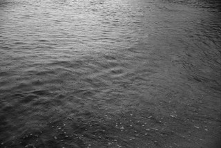 Rain on sea, Tilbury Cove | by aenigmatēs