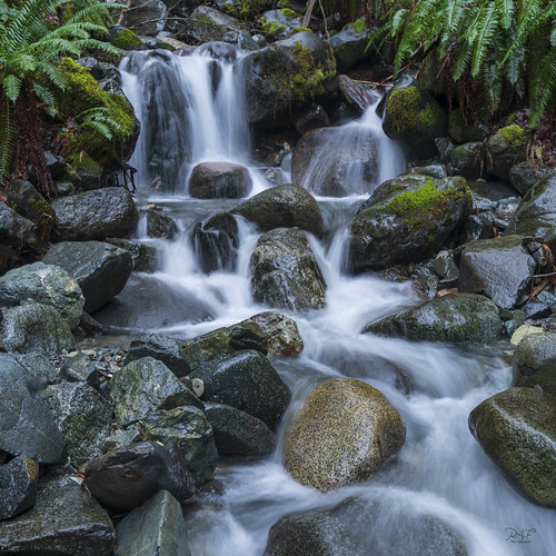 cowichanvalley britishcolumbia canada chemainus bc water waterfall winter landscape landscapephotography longexposure longexposures photo photography green colourimage colorimage sonyalpha outside nature rocks rock fern ferns sony sonya7r3 sony2470f28gm sony2470mmgm