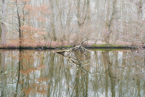 winter lake see nebel leica leicaq2 landscape frost reflection reflektion landschaft