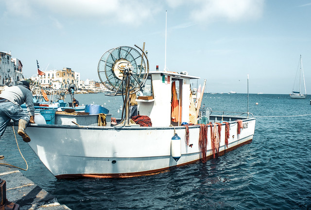 A fishing boat at the port of Ischia, Italy
