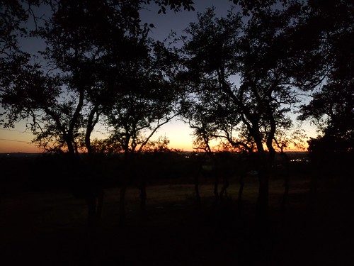 texas drippingsprings airbnb trees sunset