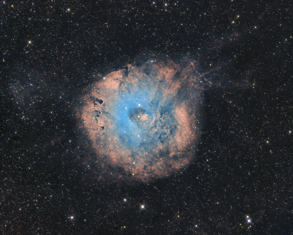 SH2-170 - Little Rosette Nebula (HST palette)