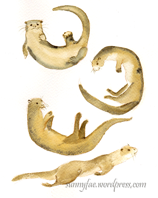 watercolour otter sketches