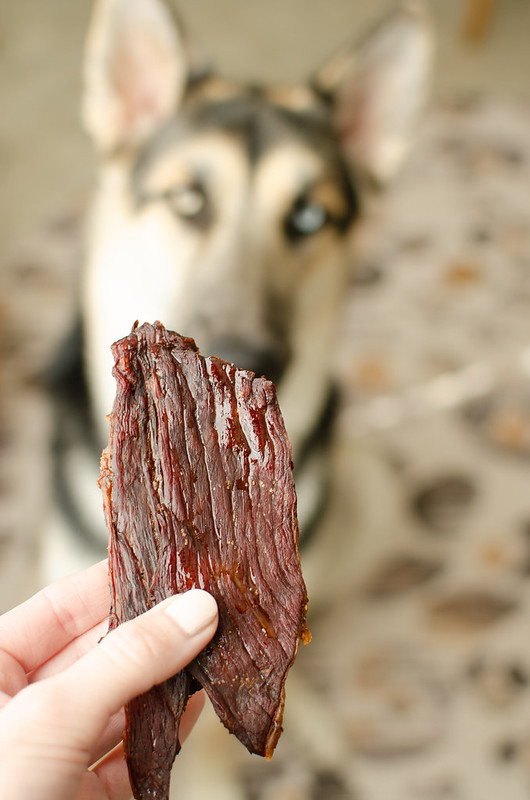 Homemade Beef Jerky for Dogs - the easiest dog treat you will ever make! Thinly sliced beef baked super low until it's jerky. My dogs go crazy for this and it's so much cheaper than store-bought jerky. 