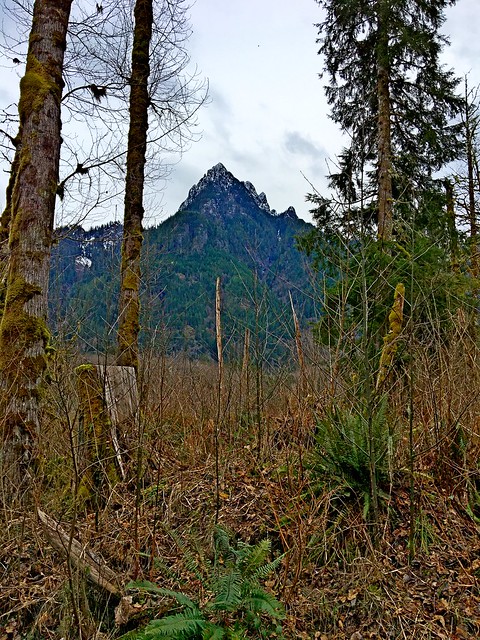 Cascade Mountains, King County, WA 1/31/21
