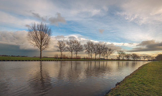 Bare trees along a Dutch canal