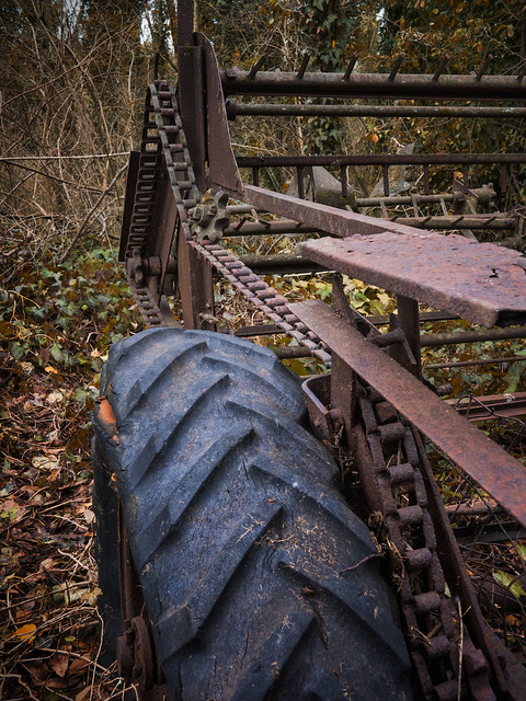 Thresher rusting in forest