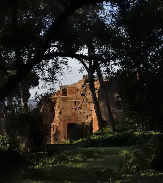 Ancient imperial residential ruins, Palatine Hill, Rome..