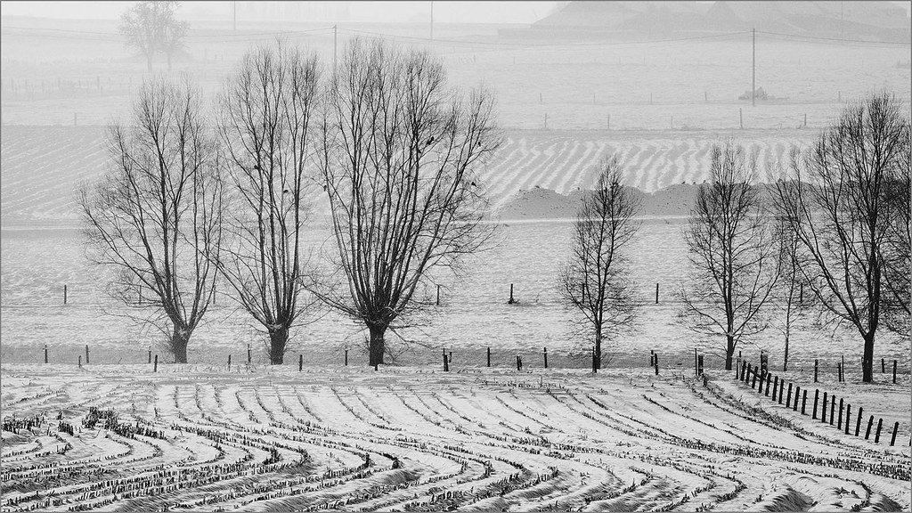 Winter in Passchendaele