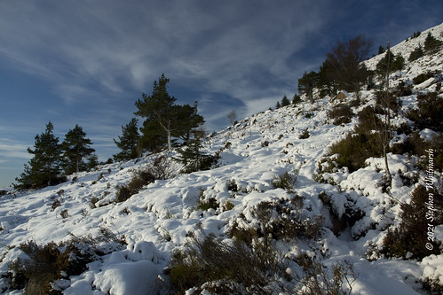 bennachie aberdeenshire scotland winter snow ice mountain hills rocks rock trees landscape nature