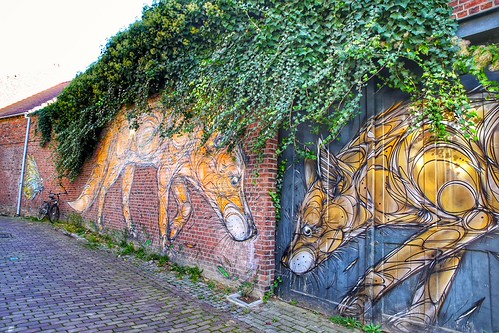 street art from artist Dzia in Kessel-Lo