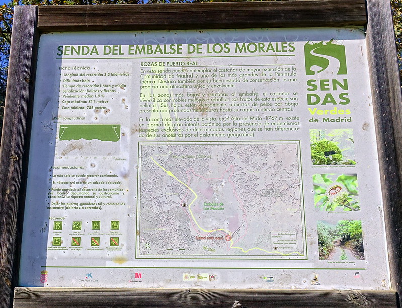 Ruta de los Castaños y del Embalse de los Morales, Rozas de Puerto Real (Madrid) - Comunidad de Madrid: pueblos, rutas y lugares, incluyendo senderismo (16)
