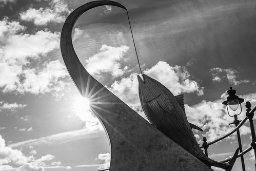 sculpture fish tuna raylonsdale art publicart statue scarborough nothyorkshire yorkshire seaside sun backlight lowangleofview lowpov blackwhite blackandwhite monochrome canon
