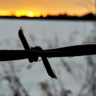 034/365: Barbed Wire