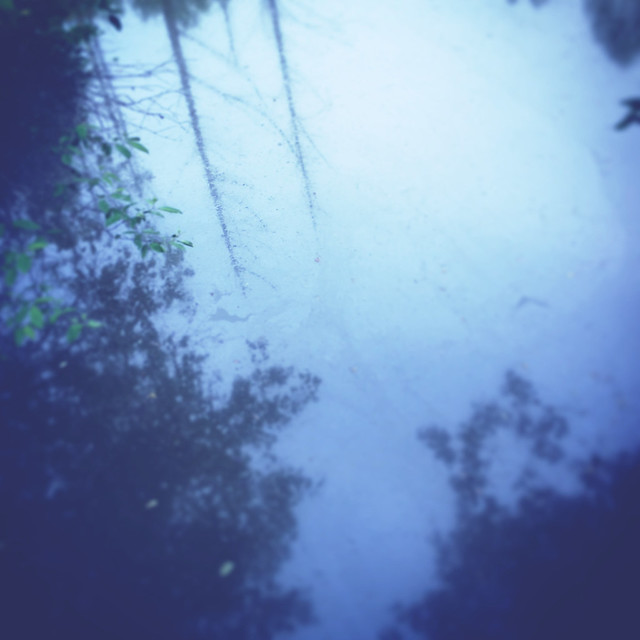 Hidden Pond's quiet summer