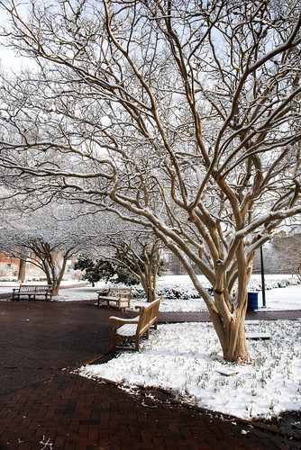 A bench near Swem Library sits empty following a dusting of snow.