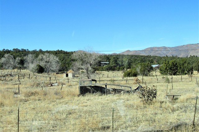 Collapsed shed? Manzano, New Mexico