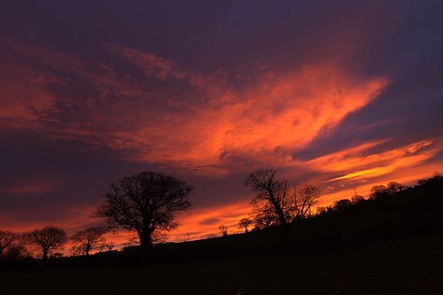 sunrise betwsynrhos conwy northwales february2021 flickrnature canon canoneos1200d magenta red orange yellow redsky magentasky orangesky silhouettes trees welshlandscape welshcountryside fields hedgerows cumulusclouds cirrusclouds