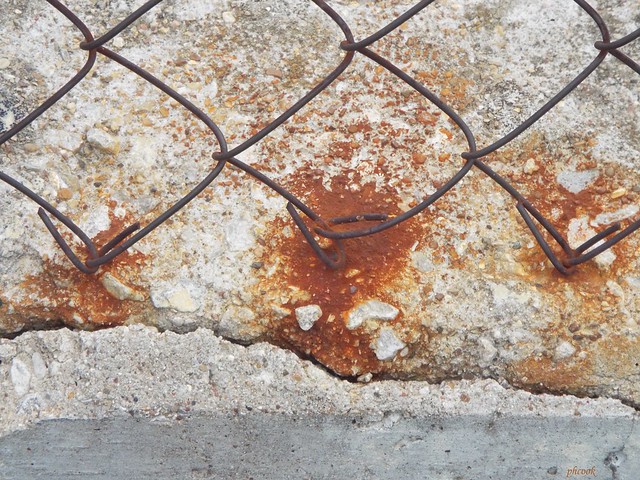 Fence and Rust