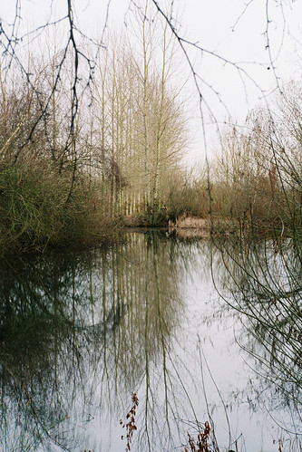 film 35mm minolta lincolnshire sleaford ruskington lake pond reflection landscape tree