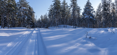 tracks | by repaap