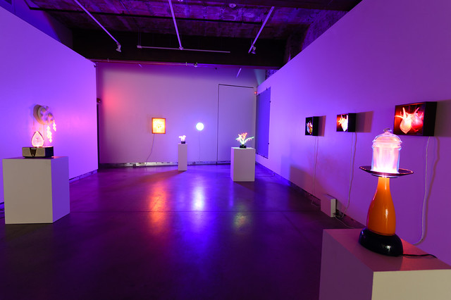 Exhibition: Light In Transmission