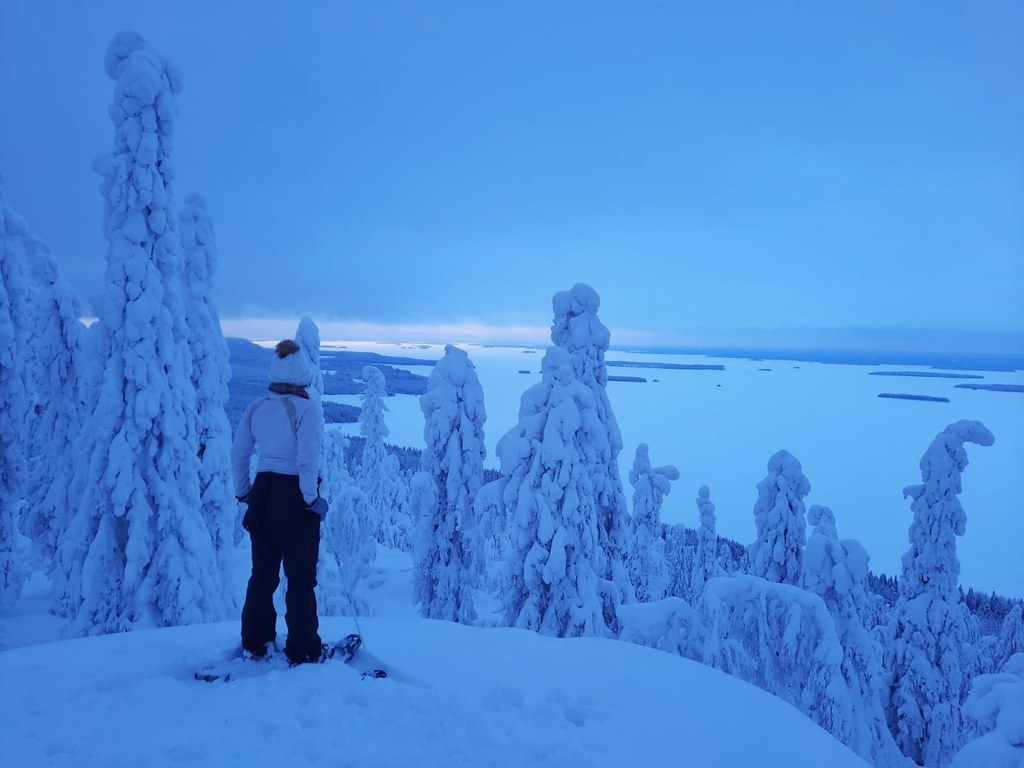 Koli