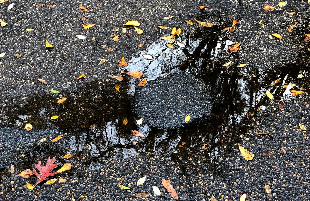 Puddle reflection and bright leaves