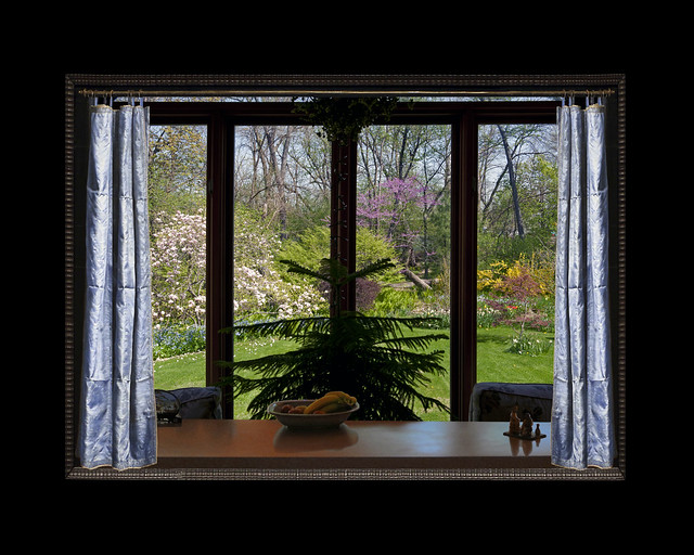 Prairie Garden, Wheaton, from Indoors, Early May, 2013, adjusted 2018, with Frans van Mieris's Blue Curtain, 2021
