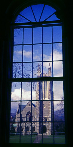 Window View