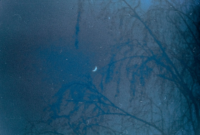 Midwinter Sickle Moon