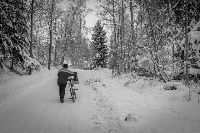 Ramp + Bike + Snowy + Pocket