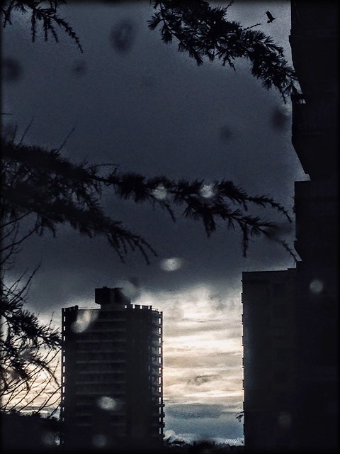Through the raindrops on my window