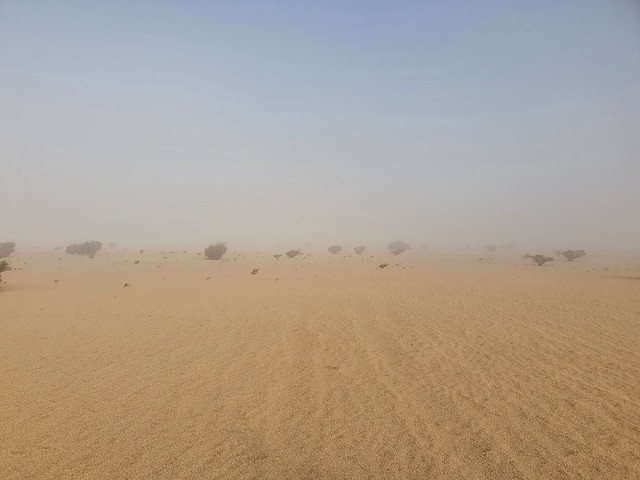 Saudi Arabian desert near the Wahba Crater (4)